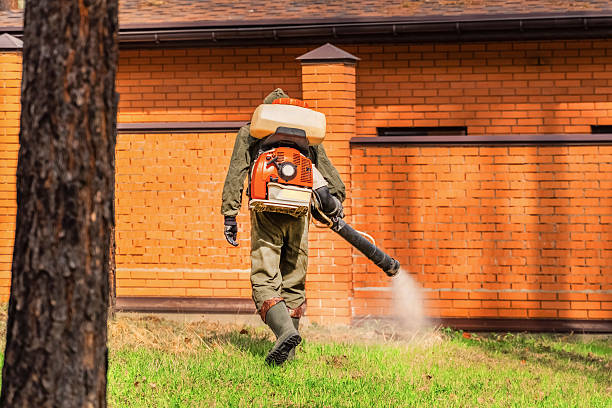 Top rated local Ant Control specialists in Singac, NJ